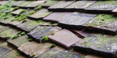 Llangadwaladr roof repair costs